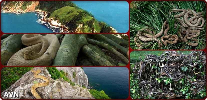 جزيرة "كيمادا غراندي البرازيلية"