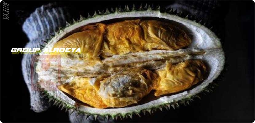 فاكهة الدوريان