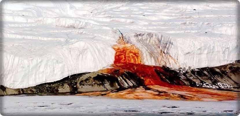  "شلالات الدم"