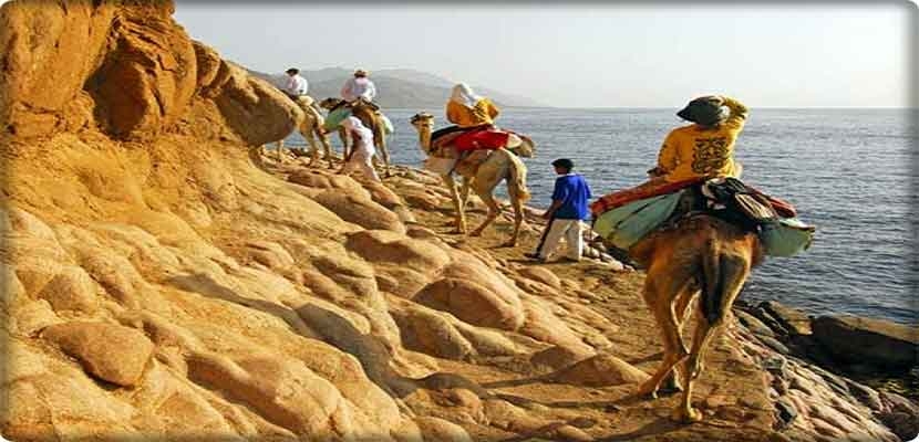 عشيرة الترابين دعت جميع عشائر سيناء " الى التوحد للقضاء على داعش الذين سيقتلون جميعا ان لم يسلموا انفسهم الينا، حان الوقت للوقوف صفا واحدا أمام هذا التنظيم الفاشي الذي لا يرحم شيخا ولا شابا".